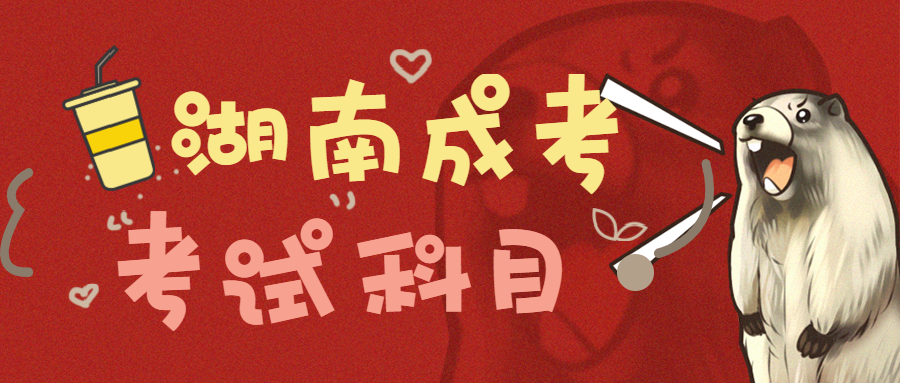 2021年湖南大学成考考试科目