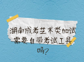 湖南省成人高考 艺术类加试的考试工具
