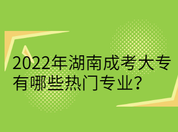 2022年湖南成考大专有哪些热门专业？