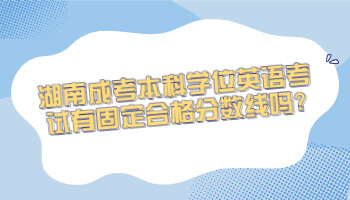 湖南成考本科学位英语考试